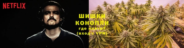 mdma Новодвинск